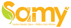 Logo Samy